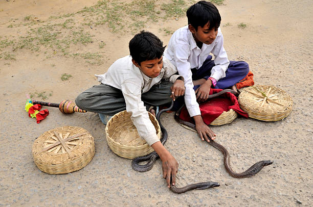 若いスネーク charmers - cobra people india snake ストックフォトと画像