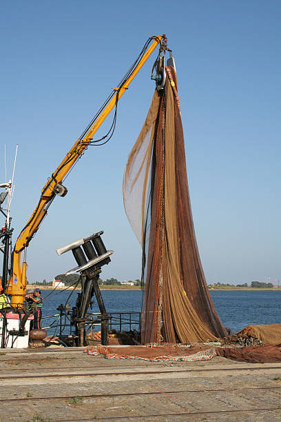 rozładunek sieci rybackich - ship industrial ship fishing boat europe zdjęcia i obrazy z banku zdjęć