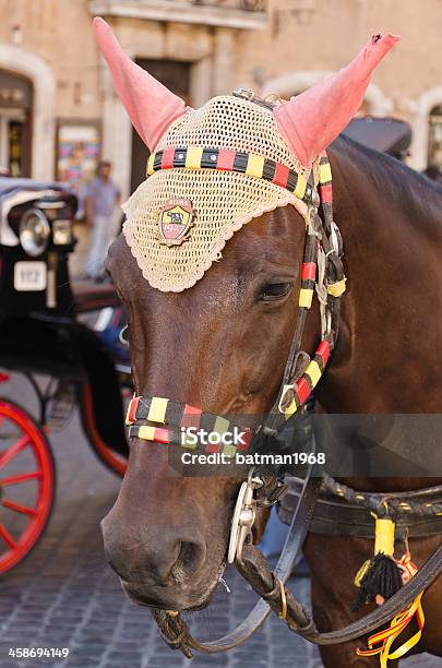 Cavalo E Carruagem - Fotografias de stock e mais imagens de Animal - Animal, Capitais internacionais, Carruagem