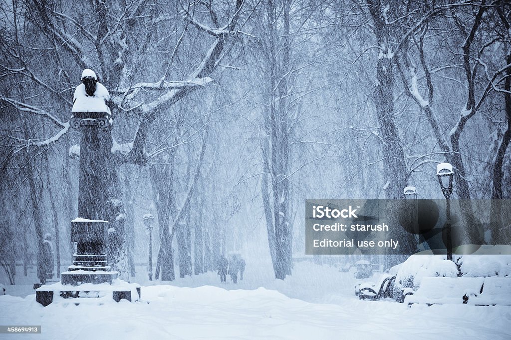 Снег скрытой общественный парк в Кишиневе - Стоковые фото Александр Сергеевич Пушкин роялти-фри