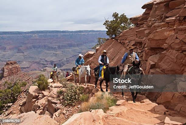 Wrangler Guida Di Un Treno Mulo Il South Kaibab Trail - Fotografie stock e altre immagini di Grand Canyon