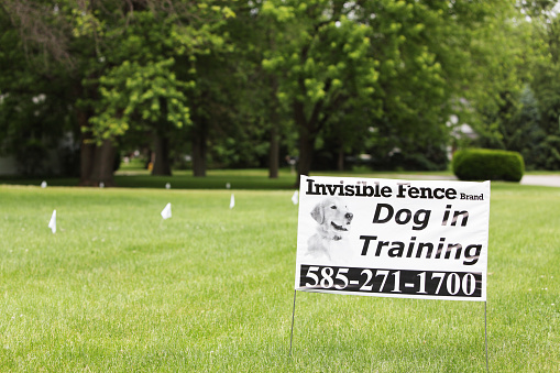 Penfield, New York, USA - June 10, 2011: An Invisible Fence brand Dog In Training placard sign on a suburban residence front lawn. The small flags set up at intervals all along a buried wire are a visual training aid while the animal learns to stay behind the line. When the training is completed, an electronic receiver worn on a special collar alerts the pet with warning beeps that get louder as it approaches the buried wire. If the dog ignores the warning and gets too close to the boundary, a mild electric shock is given as a correction.