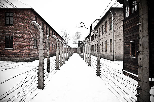 auschwitz clôture électrique - death camp photos et images de collection