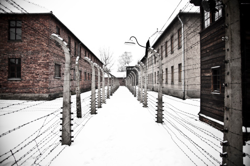 Auschwitz, Poland - January 1, 2011: The Auschwitz concentration camp is located about 50 km from Krakow. The picture shows two rows of electrical barbed wire surrounding the camp on winter day.