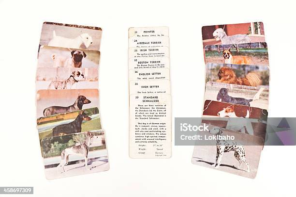 Traindex Dog Collector Cards Stock Photo - Download Image Now - Trading Cards, Animal, Antique