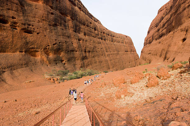 kata tijuta, walpa gorge - olgas imagens e fotografias de stock