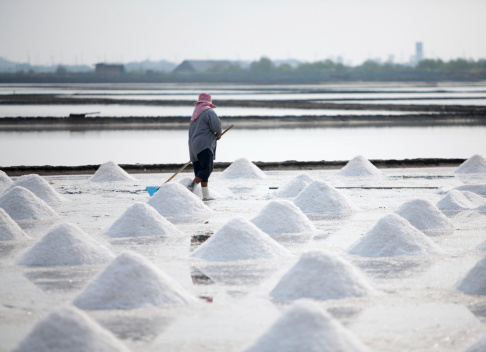 Between Samut Sakhon and Samut Songkhram, Thailand - March 8, 2011: A woman shovels salt into wicker baskets to be carried away by men, from the field to the collection area. Salt fields are flooded with sea water - brought in using wind pumps to help the water move from field to field- dammed, then left to evaporate in the sun. The salt is then picked up, cleaned and bagged to be sold. The main season for salt producing is from October to April since a strong sun and no rainfall is necessary.