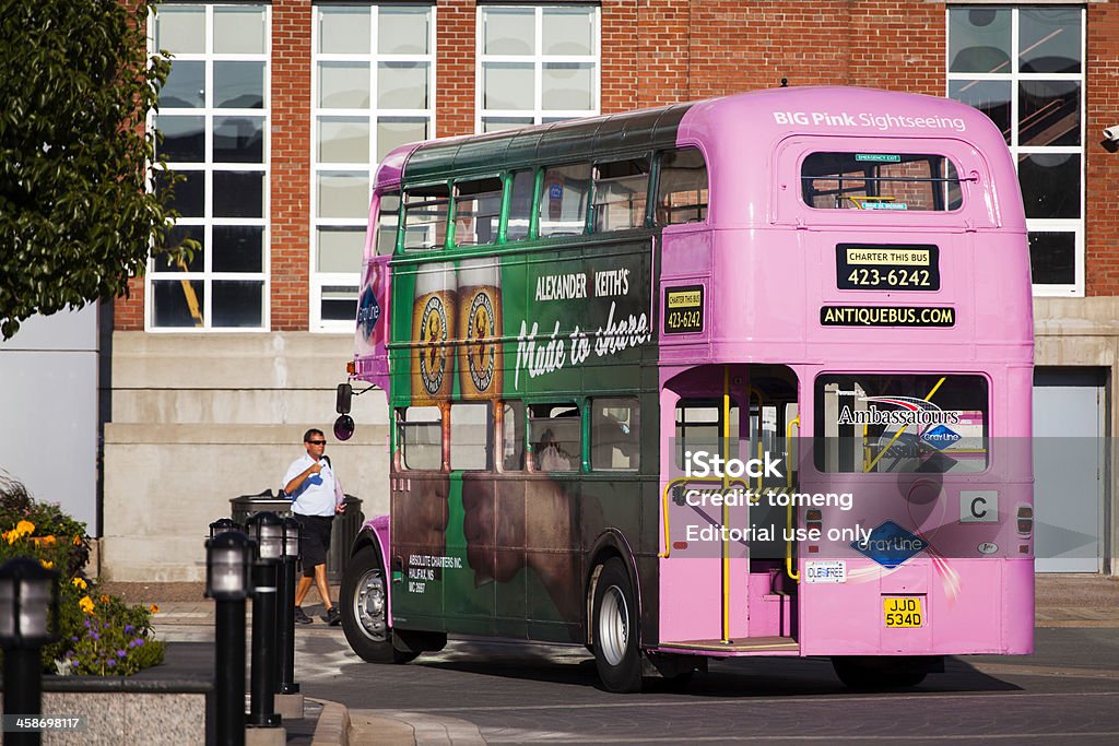 Большой розовый экскурсионные автобусы - Стоковые фото Автобус роялти-фри