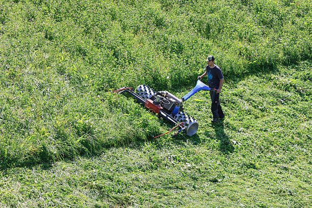 hombre segar alpine meadow - ramsberg fotografías e imágenes de stock