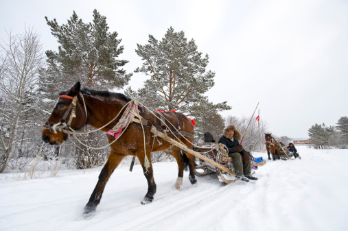 Mohe city, Heilongjiang Province, China - December 30, 2010: A horse is pulling a sleigh crossing the the snow field in a village close to mohe city, China.