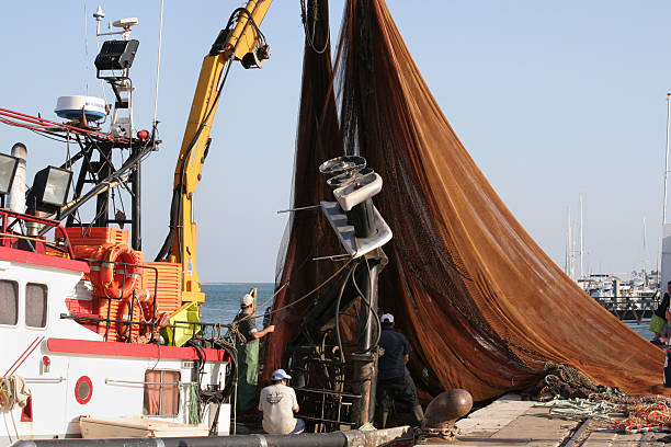rozładunek sieci rybackich - ship industrial ship fishing boat europe zdjęcia i obrazy z banku zdjęć