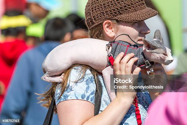 Die Frau Halten Katze Mit Einer Sphinx Stockfoto und mehr Bilder von Drachenbootrennen - Drachenbootrennen, Drachenboot, Editorial