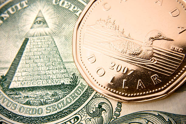 canadian loonie on american currency - endollarsmynt kanadensiskt mynt bildbanksfoton och bilder