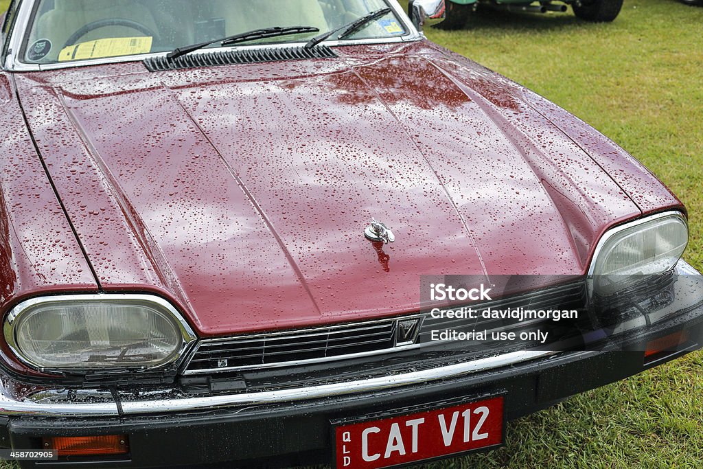 Frente do clássico V12 jaguar - Foto de stock de Antigo royalty-free