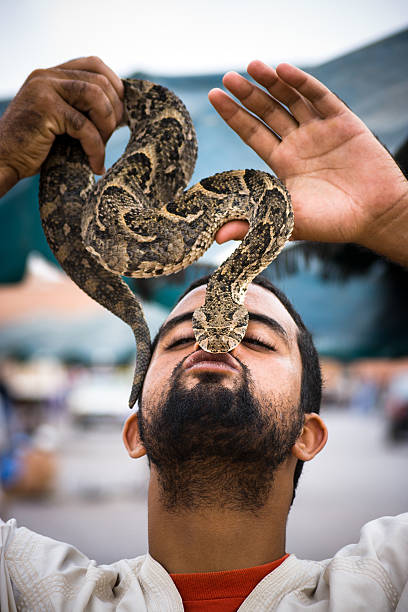 Snake Charmer, Marrakesh, Morocco Djemaa el Fna, Marrakech, Morocco, North Africa, Africa - September 27th, 2008: snake charmer holds a snake during an exhibition in the market square of Marrakesh. snakes beard stock pictures, royalty-free photos & images