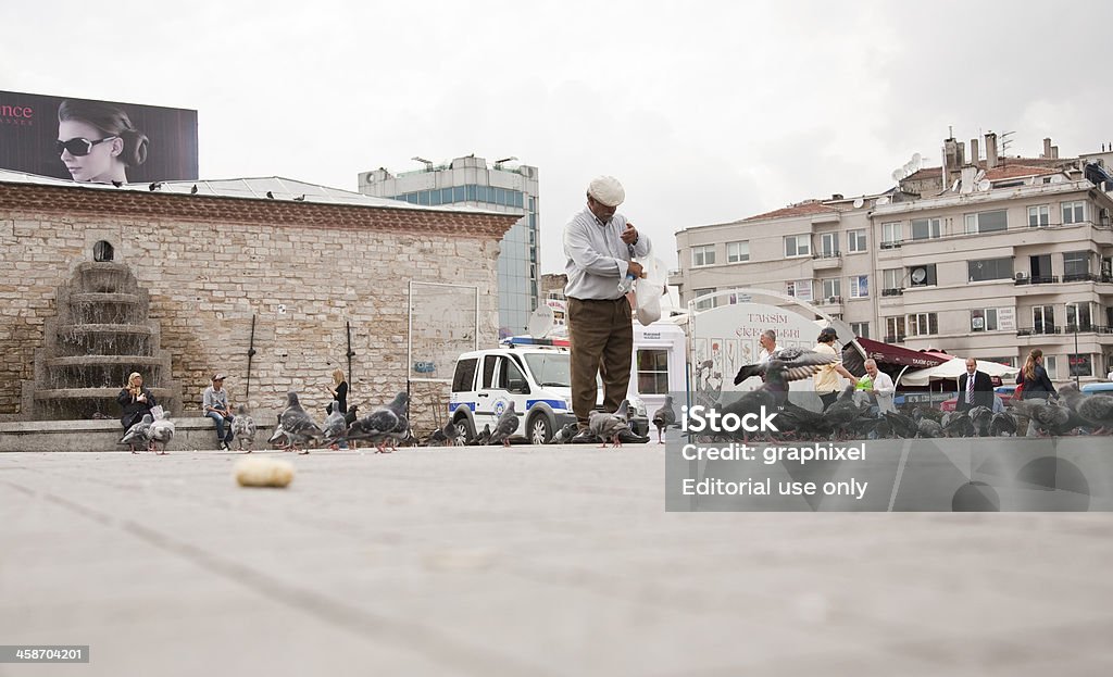 Człowiek żywienie gołębi na placu Taksim, - Zbiór zdjęć royalty-free (Dorosły)