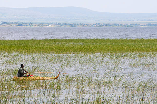 Lake Awasa, Ethiopia - August 4, 2010: A man sits on a traditional reed raft near the shore of Lake Awasa. This kind of reed raft is believed to have been used for thousands of years in the region, and likely in pharaonic Egypt as well.