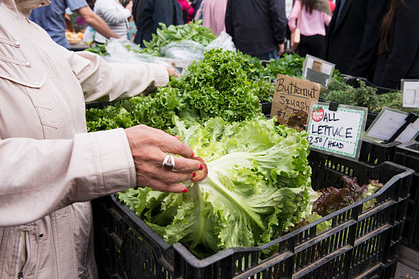 People Shopping for Vegetables at NYC Farmer's Market "New York City, United States - October 27, 2012: An elderly woman picks out greens at the Lincoln Center Greenmarket located at Tucker Square." columbus avenue stock pictures, royalty-free photos & images