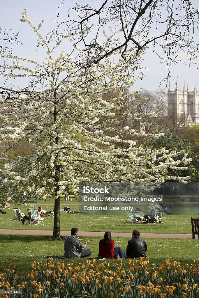 St James'Park, em Londres, Inglaterra - Foto de stock de Abadia - Mosteiro royalty-free