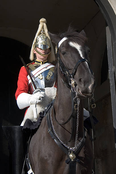 лондон для плавания - mounted guard стоковые фото и изображения