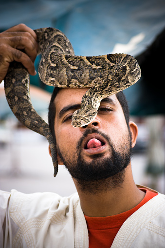 Djemaa el Fna, Marrakech, Morocco, North Africa, Africa - September 27th, 2008: snake charmer holds a snake during an exhibition in the market square of Marrakesh.