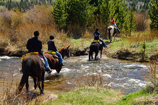 ausritt zu pferd, colorado - big thompson river stock-fotos und bilder