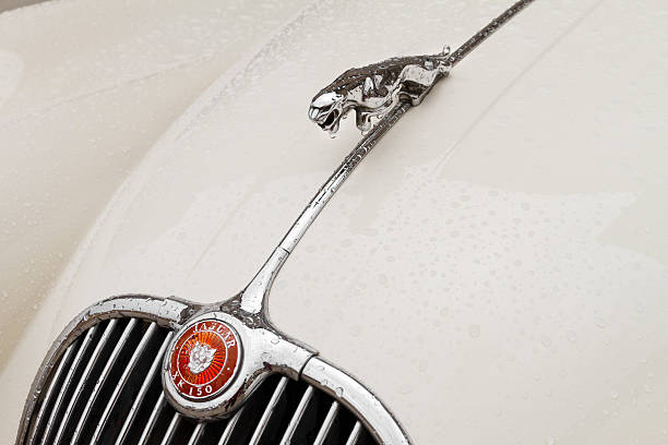 Berlin, Germany - August 2, 2017: Jaguar emblem. Jaguar is the luxury vehicle brand of Jaguar Land Rover, a British multinational car manufacturer with its headquarters in Whitley, Coventry, England