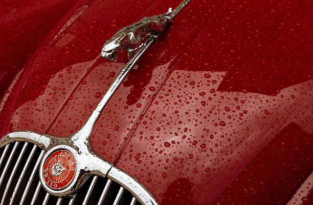 jaguar vintage coche clásico símbolo primer plano - hood ornament fotografías e imágenes de stock