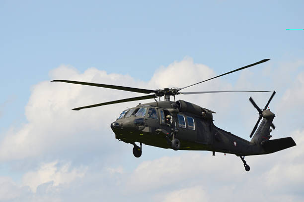 Austria, Airpower11 "Zeltweg, Austria - July 1st 2011: display with Black Hawk helicopter of the Austrian airforce by airshow - airpower11" blackhawk stock pictures, royalty-free photos & images