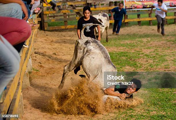 Corrida - Fotografie stock e altre immagini di Alzarsi su due zampe - Alzarsi su due zampe, Bovino, Carambola - Frutto tropicale