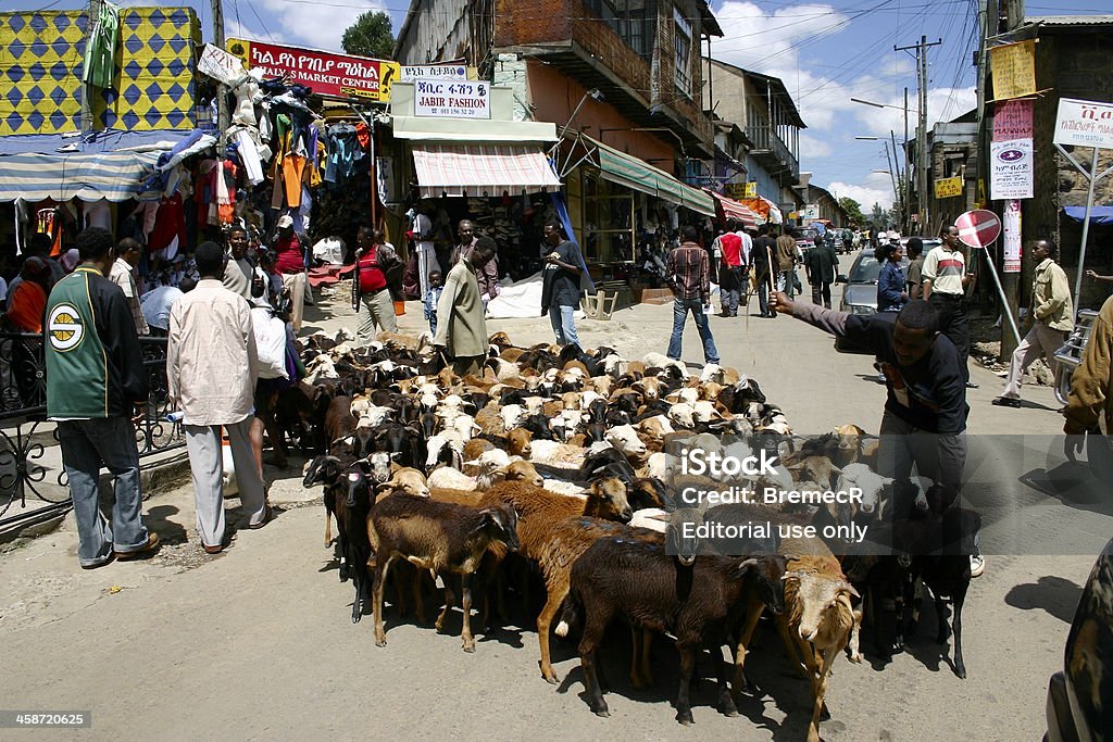 Herd of goats on a market street in Addis Ababa Addis Ababa, Ethiopia - October 13, 2006: Herd of goats being shepherded through narrow street full of shops. Africa Stock Photo