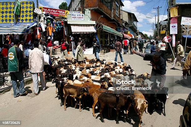 Herd Of Goats On A Market Street In Addis Ababa Stock Photo - Download Image Now - Africa, Shepherd, Addis Ababa