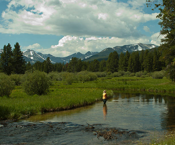 Senior woman fly fishing a mountain creek stock photo