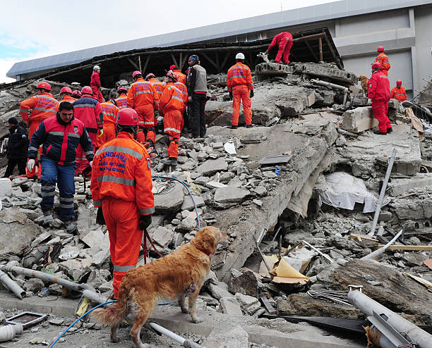 Van earthquake "Van, Turkey - November 10, 2011: After the earthquake in Van, rescue teams are searching for earthquake victims with the help of rescue dogs." turkey earthquake stock pictures, royalty-free photos & images
