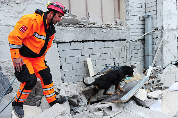van earthquake - aardbeving turkije stockfoto's en -beelden