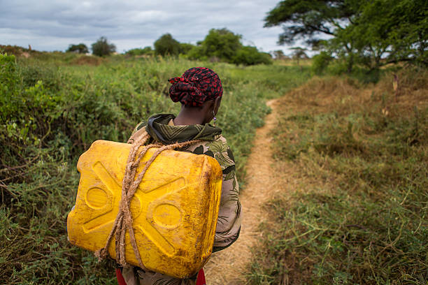 ethiopian mulher carrega uma lata de água do bem - women indigenous culture africa ethiopia - fotografias e filmes do acervo