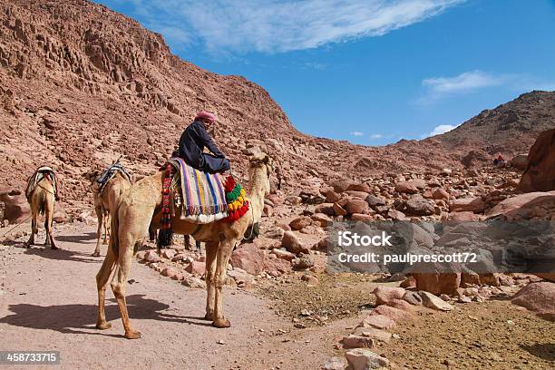 Foto de Guia De Camelo e mais fotos de stock de Adulto - Adulto, Animal, Arabesco - Estilo