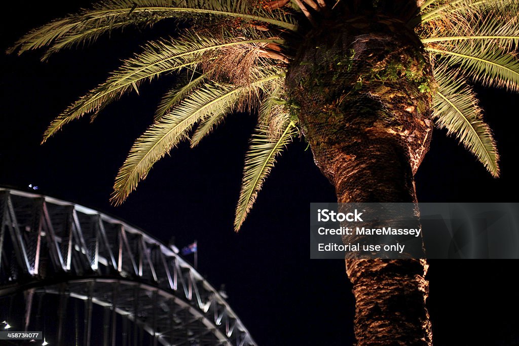 Sydney Harbour Bridge et de palmier - Photo de Australie libre de droits