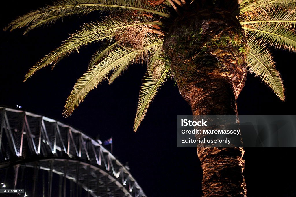 Sydney Harbour Bridge e palma - Foto stock royalty-free di Australia