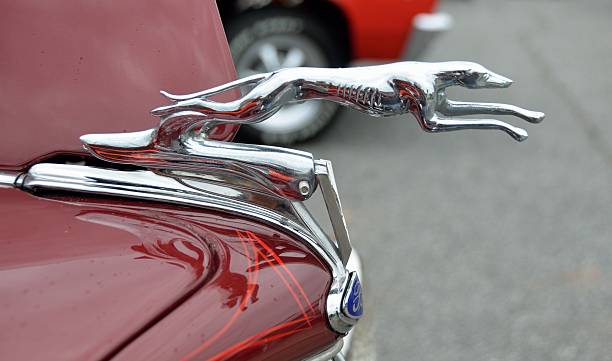  Emblema del coche del galgo de Ford