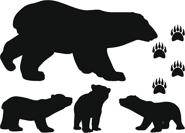 Bear Bear silhouette bear cub stock illustrations