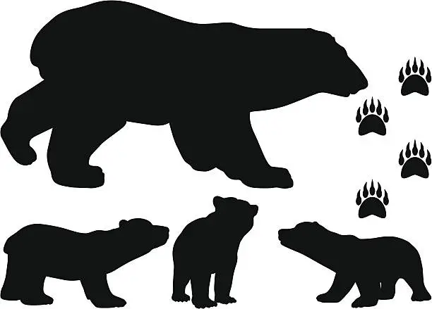 Vector illustration of Bear