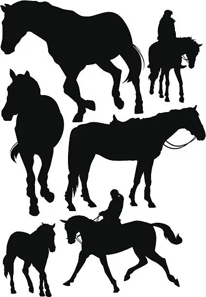 Vector illustration of vector horses silhouettes