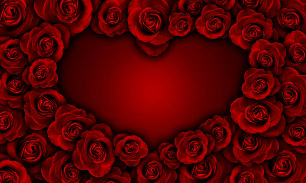 red roses making heart shape, valentine, love background stock photo