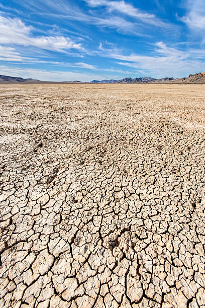 Dry Lake Bed A dry lake bed on a hot, sunny day. lake bed stock pictures, royalty-free photos & images