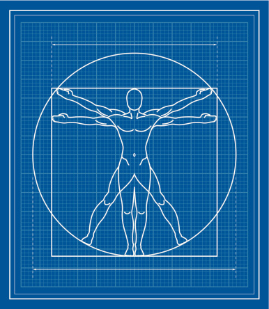 Vitruvian Man blueprint.