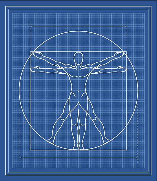 Vitruvian Man blueprint Vitruvian Man blueprint. leonardo da vinci stock illustrations