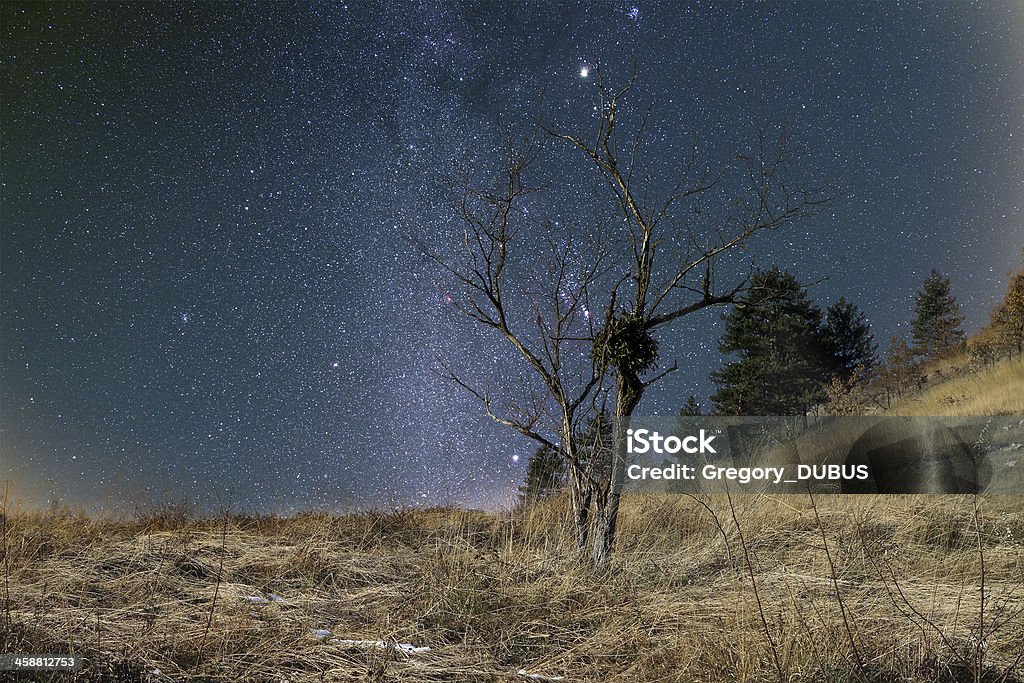 Starry Krajobraz - Zbiór zdjęć royalty-free (Astronomia)