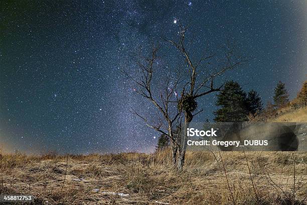 Starry Krajobraz - zdjęcia stockowe i więcej obrazów Astronomia - Astronomia, Bez ludzi, Bezchmurne niebo