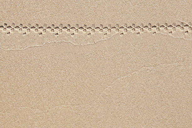 istock sand background with track of bicycle 458839053